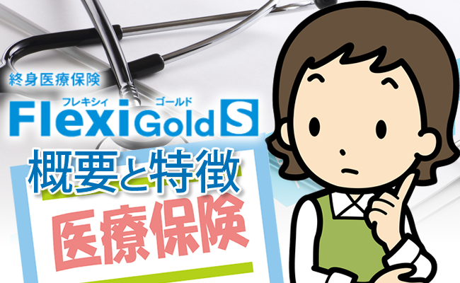 商品概要と特徴
